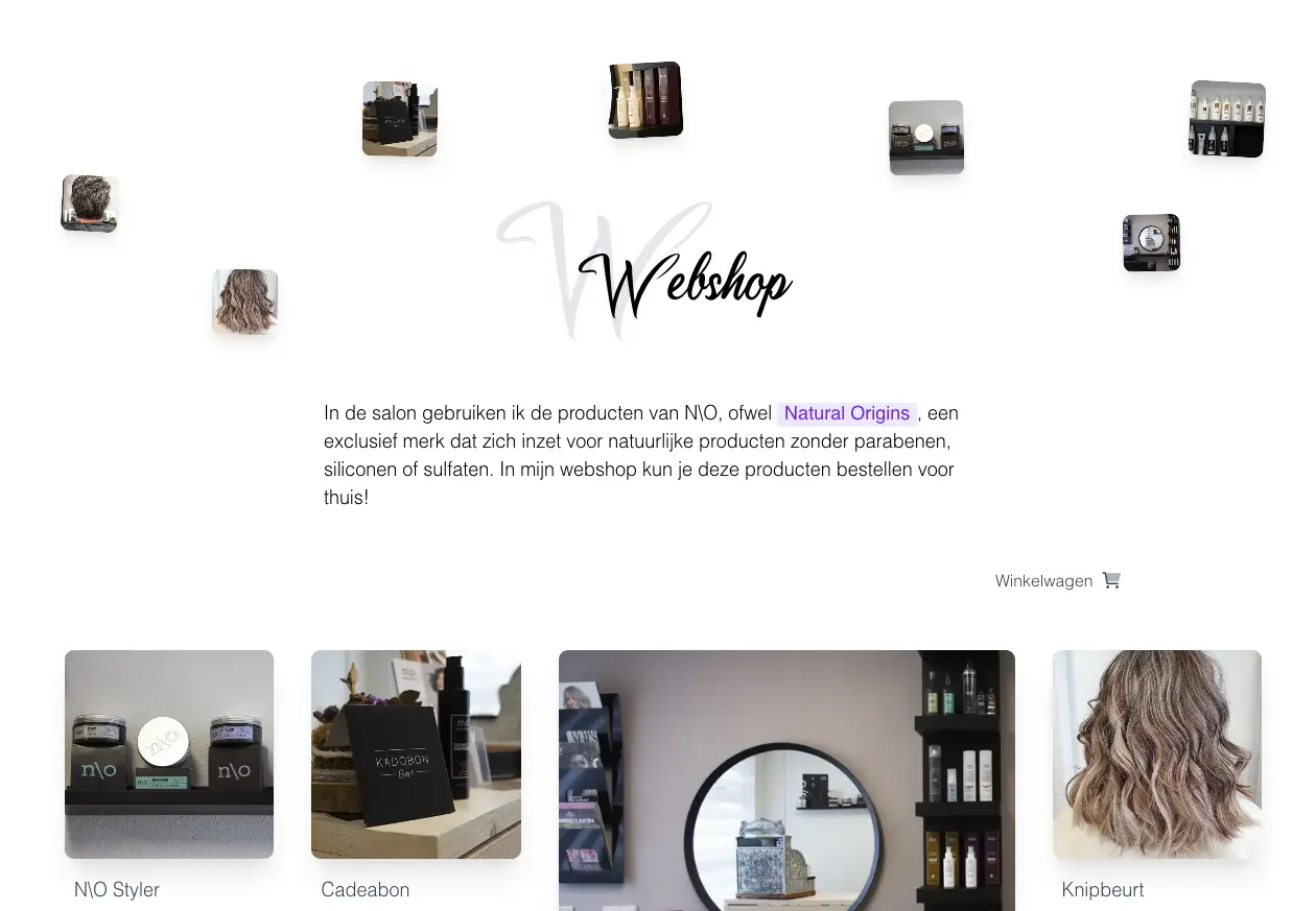 A screenshot of the webshop built for Hair & More Salon.  It shows a header saying 'Webshop' with a small description underneath it.  The header is surrounded by several small images of products being sold that are scattered around.  The bottom part of the screenshot shows four of the products being sold through the webpage organised in a grid.